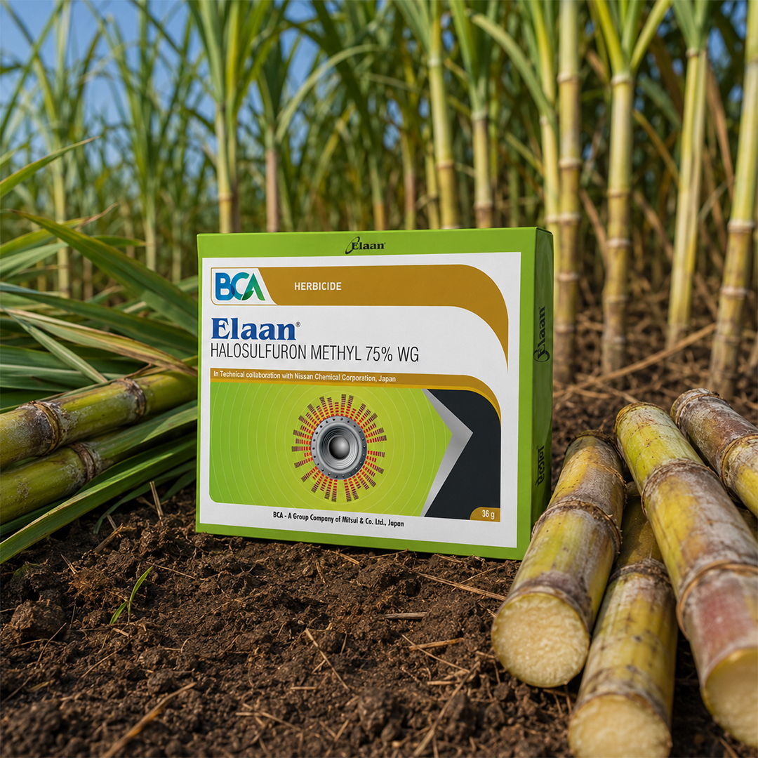 What Is a Post-Emergence Herbicide?